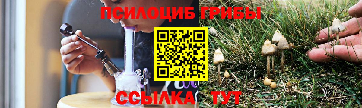 Псилоцибиновые грибы Psilocybine cubensis  Псилоцибиновые грибы ЛСД  Вход с VPN  Красный Сулин 