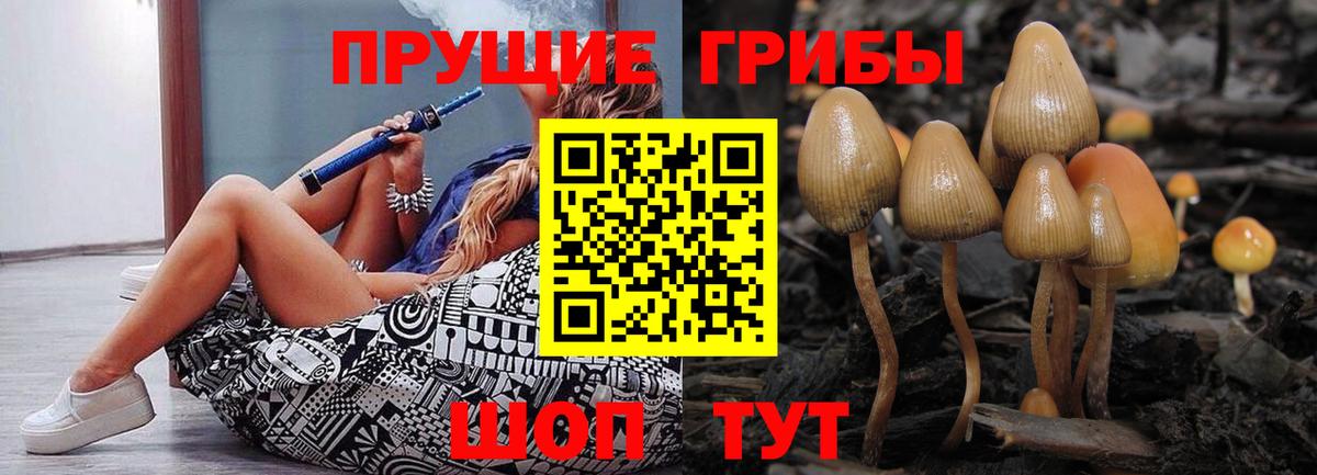Галлюциногенные грибы GOLDEN TEACHER Красный Сулин